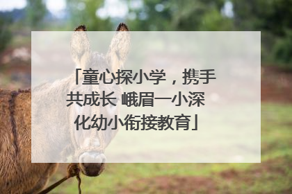 童心探小学，携手共成长 峨眉一小深化幼小衔接教育