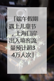端午假期遇上儿童节，上海口岸出入境客流量预计超34万人次