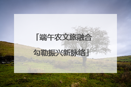 端午农文旅融合 勾勒振兴新脉络