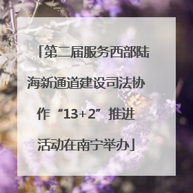 第二届服务西部陆海新通道建设司法协作“13+2”推进活动在南宁举办