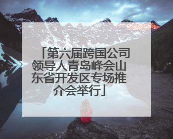 第六届跨国公司领导人青岛峰会山东省开发区专场推介会举行