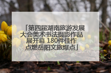 第四届湖南旅游发展大会美术书法摄影作品展开幕 180件佳作点燃岳阳文旅爆点