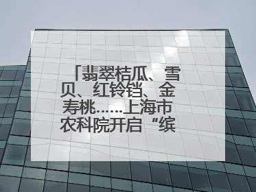 翡翠桔瓜、雪贝、红铃铛、金寿桃……上海市农科院开启“缤纷蔬菜之约”