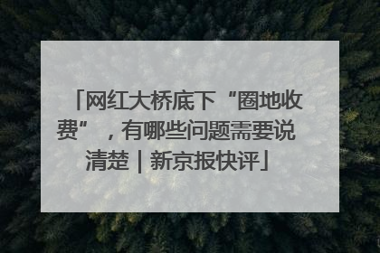 网红大桥底下“圈地收费”，有哪些问题需要说清楚｜新京报快评