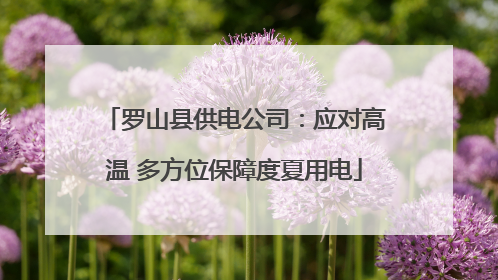 罗山县供电公司：应对高温 多方位保障度夏用电