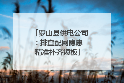 罗山县供电公司：排查配网隐患 精准补齐短板
