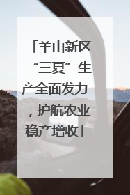 羊山新区“三夏”生产全面发力，护航农业稳产增收