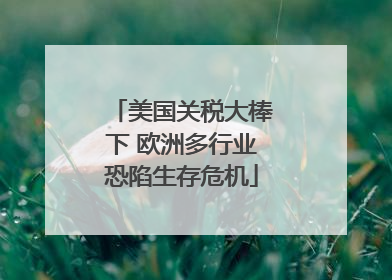 美国关税大棒下 欧洲多行业恐陷生存危机