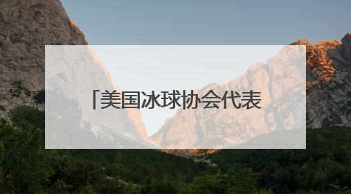 美国冰球协会代表团访问黑龙江 共话冰球运动发展