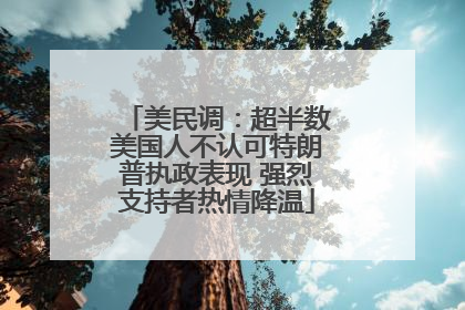 美民调：超半数美国人不认可特朗普执政表现 强烈支持者热情降温