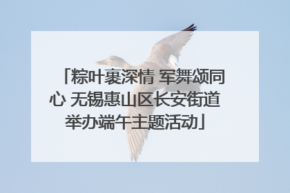 粽叶裹深情 军舞颂同心 无锡惠山区长安街道举办端午主题活动