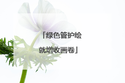 绿色管护绘就增收画卷