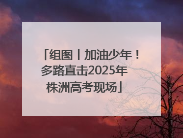 组图丨加油少年！多路直击2025年株洲高考现场