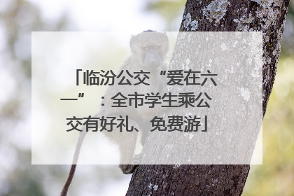 临汾公交“爱在六一”：全市学生乘公交有好礼、免费游