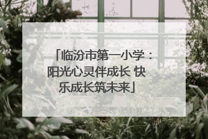 临汾市第一小学：阳光心灵伴成长 快乐成长筑未来