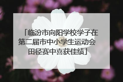 临汾市向阳学校学子在第二届市中小学生运动会田径赛中喜获佳绩