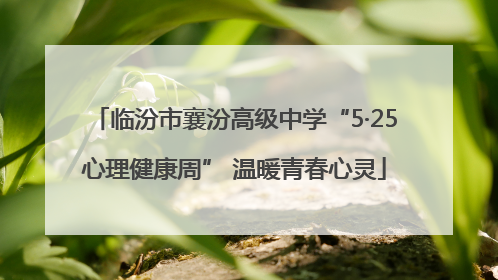 临汾市襄汾高级中学“5·25心理健康周” 温暖青春心灵