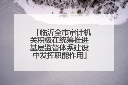 临沂全市审计机关积极在统筹推进基层监督体系建设中发挥职能作用