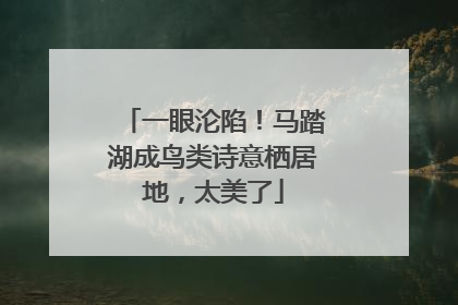 一眼沦陷！马踏湖成鸟类诗意栖居地，太美了
