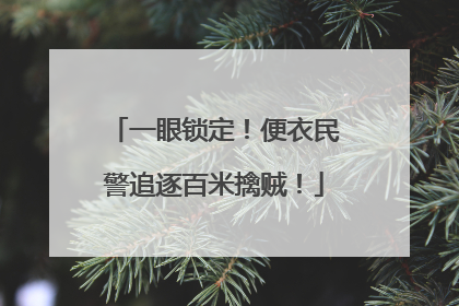 一眼锁定！便衣民警追逐百米擒贼！
