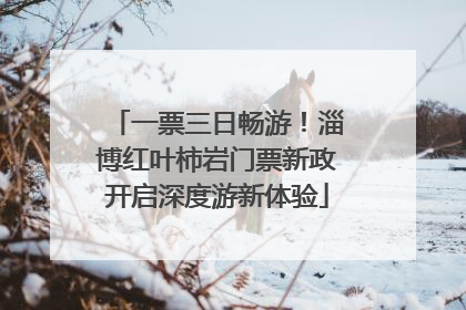 一票三日畅游！淄博红叶柿岩门票新政开启深度游新体验