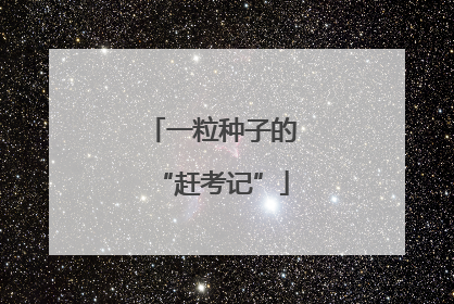 一粒种子的“赶考记”