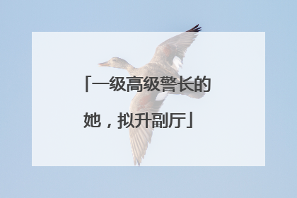 一级高级警长的她，拟升副厅