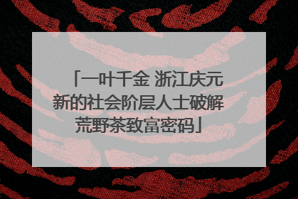 一叶千金 浙江庆元新的社会阶层人士破解荒野茶致富密码
