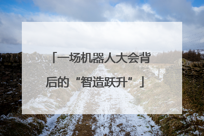一场机器人大会背后的“智造跃升”