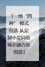 一地“四种” 模式任选 从定制小菜园看城乡融合新图景