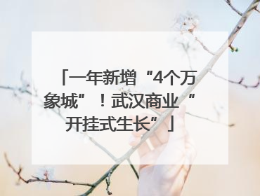 一年新增“4个万象城”！武汉商业“开挂式生长”