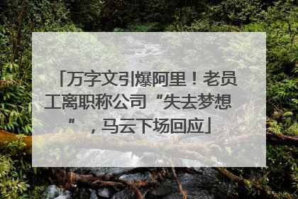 万字文引爆阿里！老员工离职称公司“失去梦想”，马云下场回应