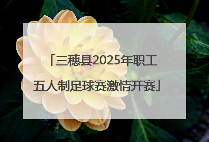 三穗县2025年职工五人制足球赛激情开赛