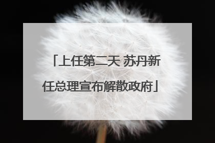 上任第二天 苏丹新任总理宣布解散政府