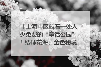 上海市区藏着一处人少免费的“童话公园”！绣球花海、金色秘境……地铁直达→