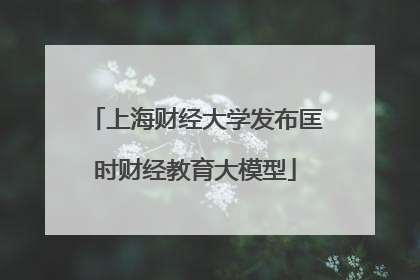 上海财经大学发布匡时财经教育大模型