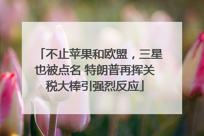 不止苹果和欧盟，三星也被点名 特朗普再挥关税大棒引强烈反应