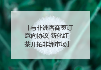 与非洲客商签订意向协议 新化红茶开拓非洲市场
