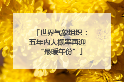 世界气象组织：五年内大概率再迎“最暖年份”