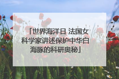 世界海洋日 法国女科学家讲述保护中华白海豚的科研奥秘