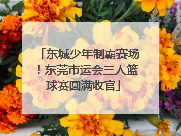 东城少年制霸赛场！东莞市运会三人篮球赛圆满收官