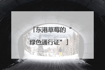 东港草莓的“绿色通行证”