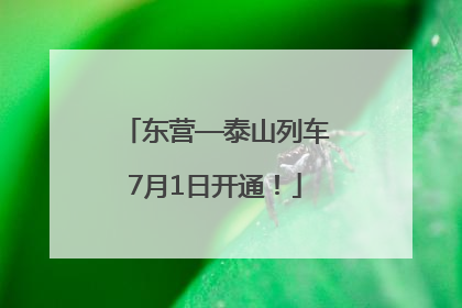 东营—泰山列车7月1日开通！