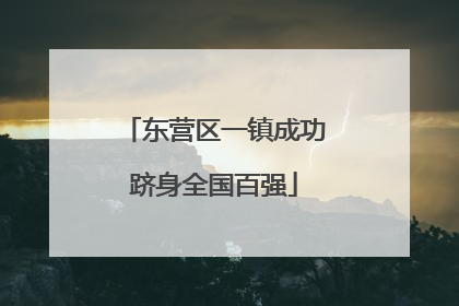 东营区一镇成功跻身全国百强