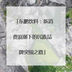 东鹏饮料：新消费浪潮下的民族品牌突围之路