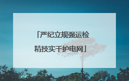 严纪立规强运检 精技实干护电网