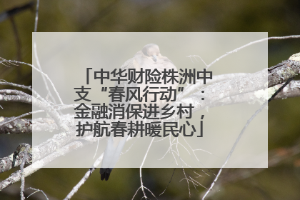 中华财险株洲中支“春风行动”：金融消保进乡村，护航春耕暖民心