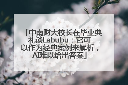 中南财大校长在毕业典礼谈Labubu：它可以作为经典案例来解析，AI难以给出答案