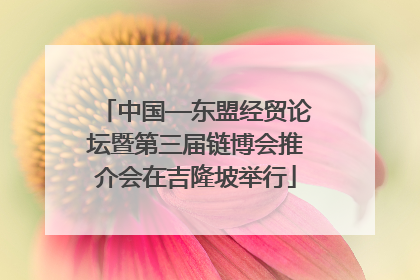 中国—东盟经贸论坛暨第三届链博会推介会在吉隆坡举行