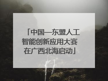中国—东盟人工智能创新应用大赛在广西北海启动